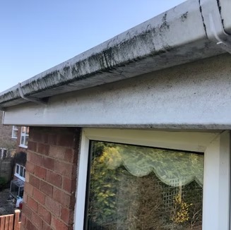 Dirty gutters with moss and algae before cleaning